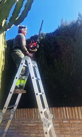 jardinería en Sevilla