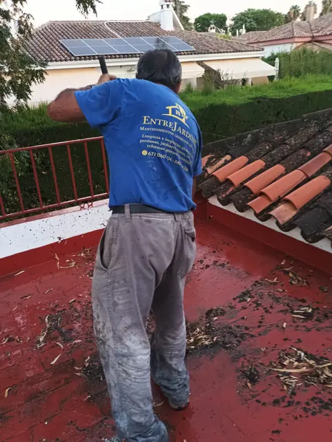 Reparación y limpieza de tejados en Sevilla